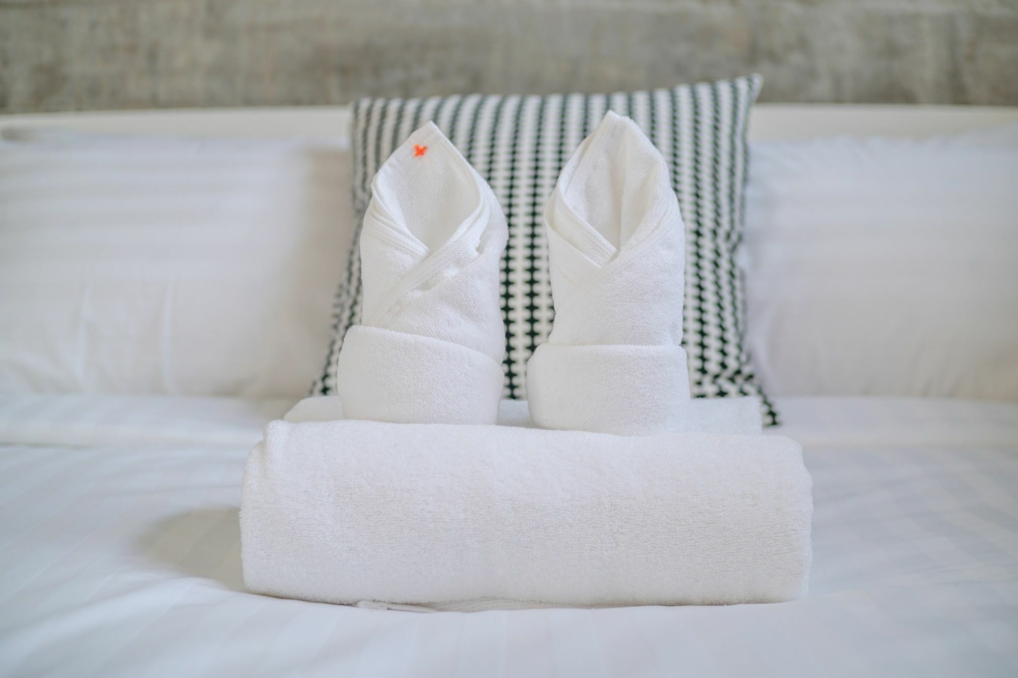 Zen Hostel Chiangmai Chiang Mai Ngoại thất bức ảnh